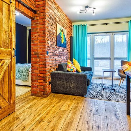 Apartament Bialy Wilk - 5D Apartamenty Świeradów-Zdrój エクステリア 写真